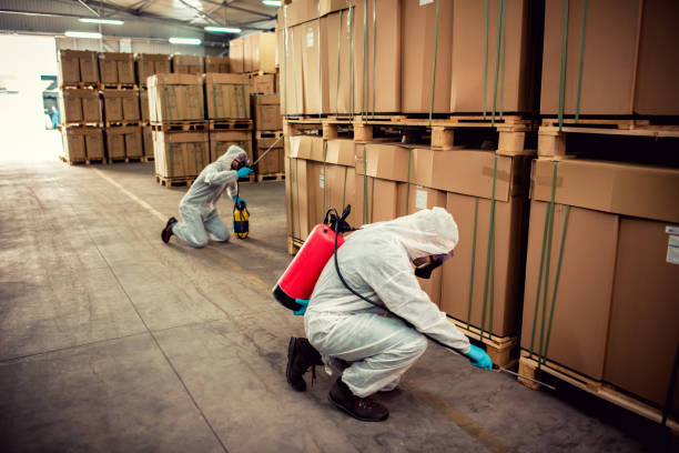 Best Best Pest Control Companies  in Anamosa, IA
