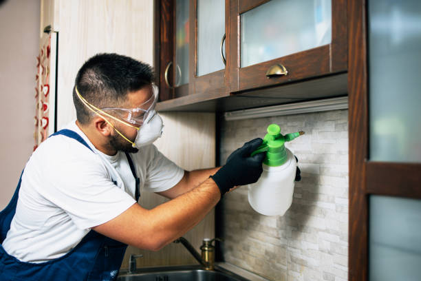 Best Wildlife Control Services  in Anamosa, IA