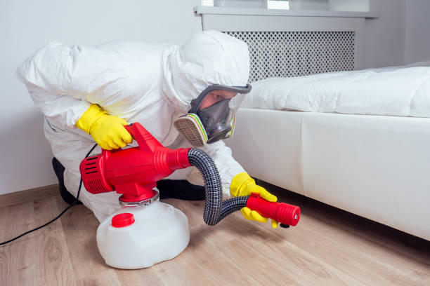 Best Wasp Removal Services  in Anamosa, IA