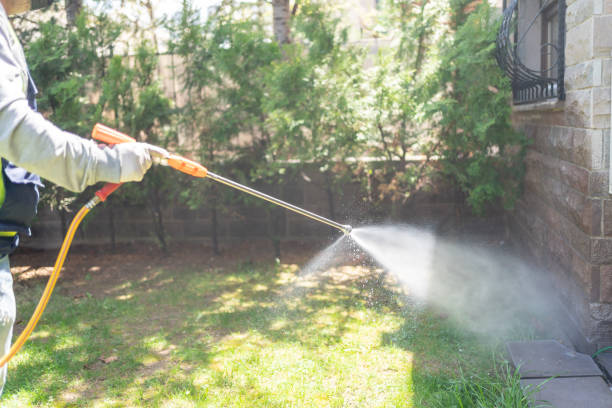 Best Flea Control Services  in Anamosa, IA
