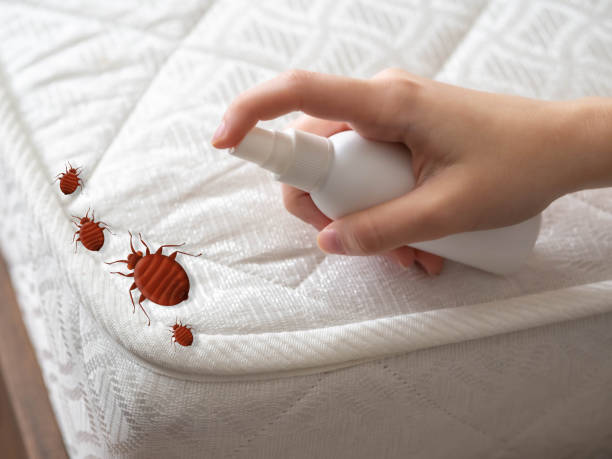 Flea Control Services in Anamosa, IA