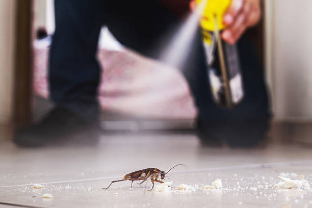 Best Pest Inspection Near Me  in Anamosa, IA