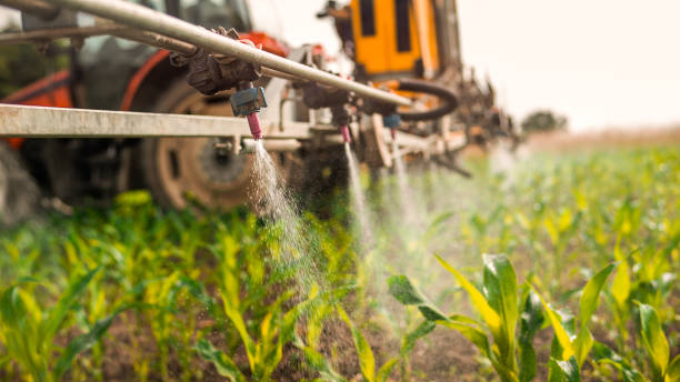 Trusted Anamosa, IA Pest Control Experts